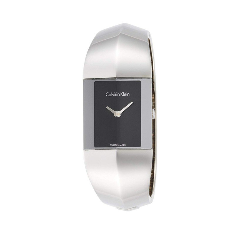 Women's Stainless Steel Bangle Watch