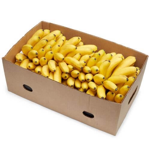 Equal Exchange Fair Trade Organic Bananas, Case