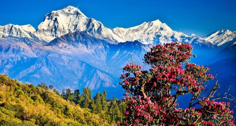 10 DAYS - Wonderful Nepal tour