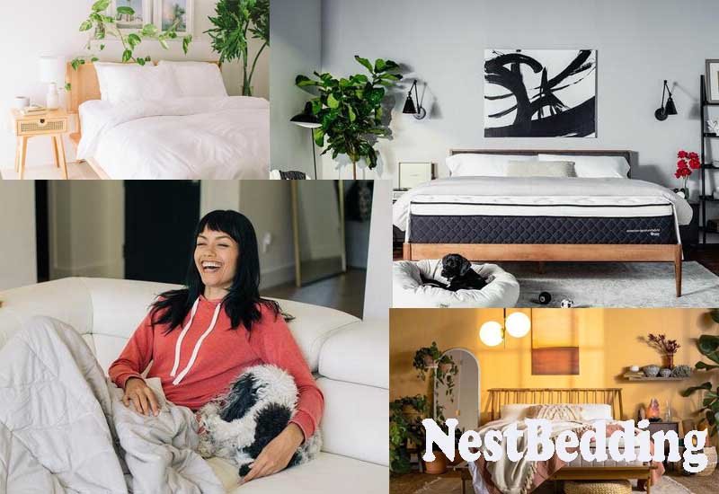 9 Best Selling Products from NestBedding