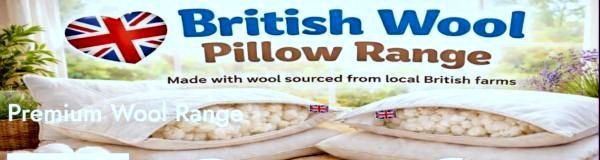 Top 5 Expert-Recommended Pillows for Neck Pain & Better Sleep in 2026 2 best pillows